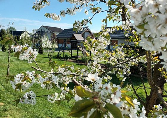 Apartamenty i Domki u Basi Grodzisko