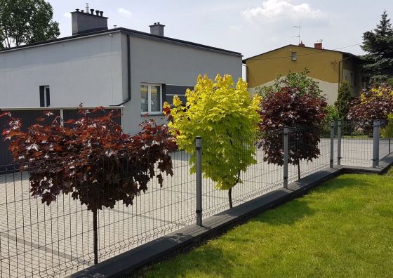 Apartament Angelo Sosnowiec