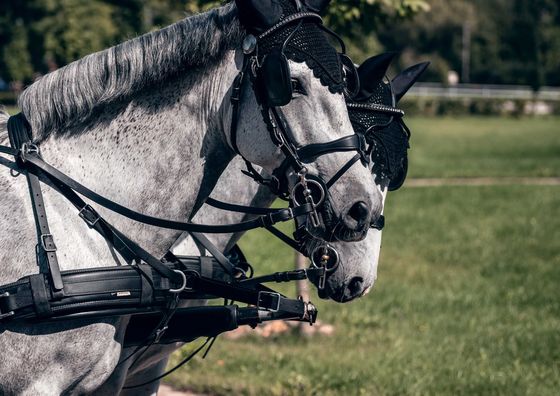 Jítravský Dvorec - Apartmán-Hotel 