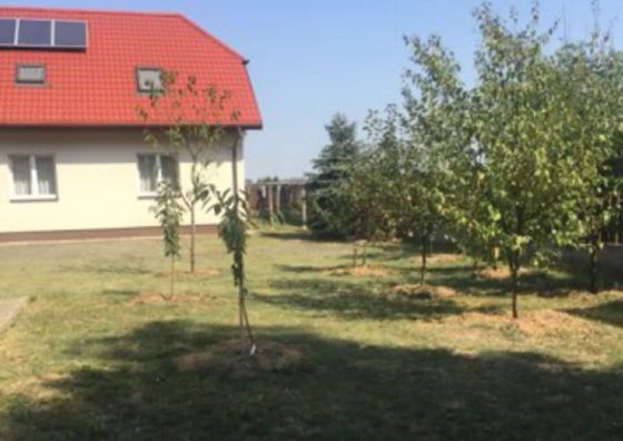 Noclegi Oaza Rozalin