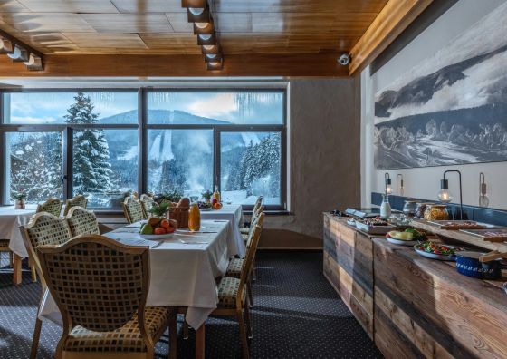 Wellness Hotel Šedý Vlk Harrachov