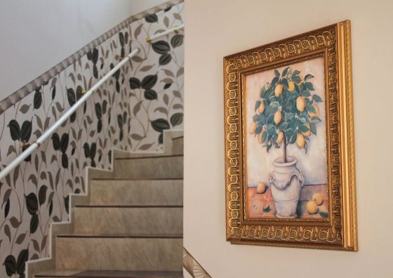 Citrus Apartmanház Hajdúszoboszló
