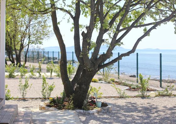 Mobile home Frangipani 3 Biograd