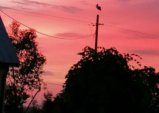 Pokoje Gościnne Zaruby Sejny