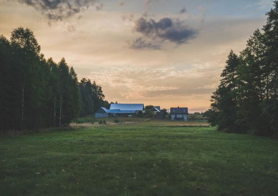 Dolina Ciszy - dom na skraju Puszczy Knyszyńskiej