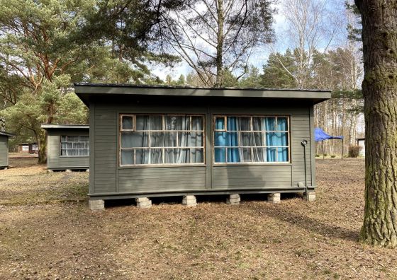 Camp Bursztynowy Las