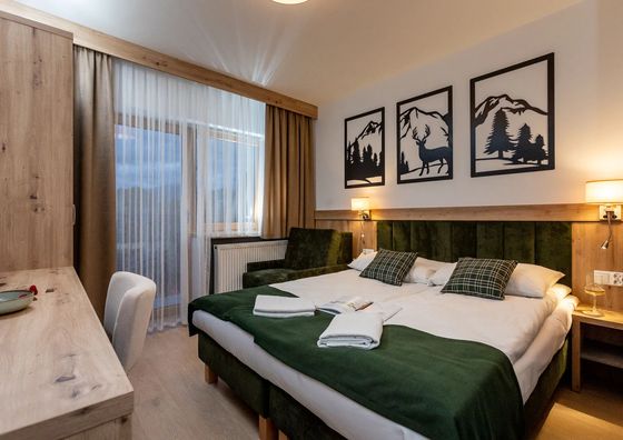 Willa Bystry Potok Poronin