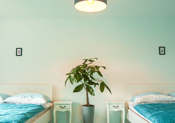 Domek w Beskidzie Żywieckim Słoneczny Przystanek