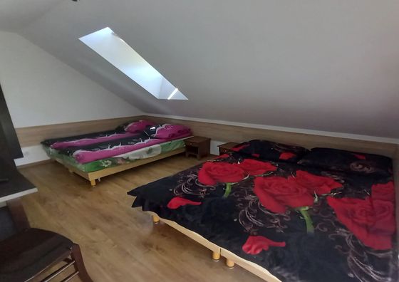 Noclegi Kucyk Nielisz