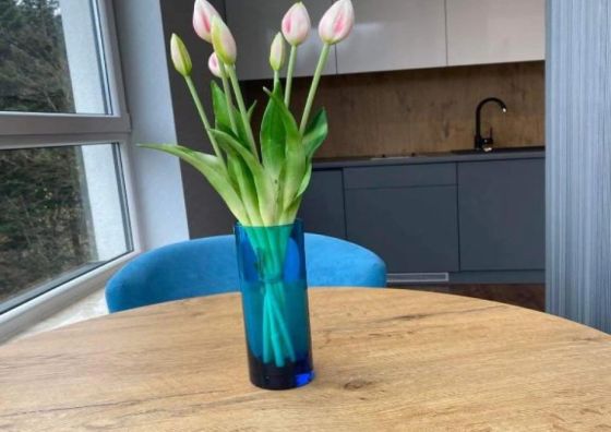 Apartament Resort Kozubnik SPA 26 - 5D Apartamenty