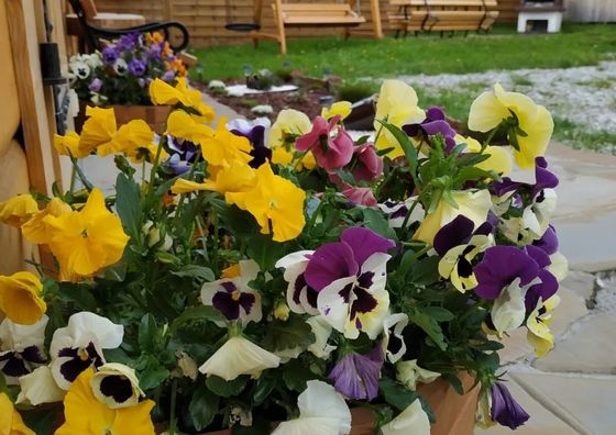 Janicka Chata Białka Tatrzańska