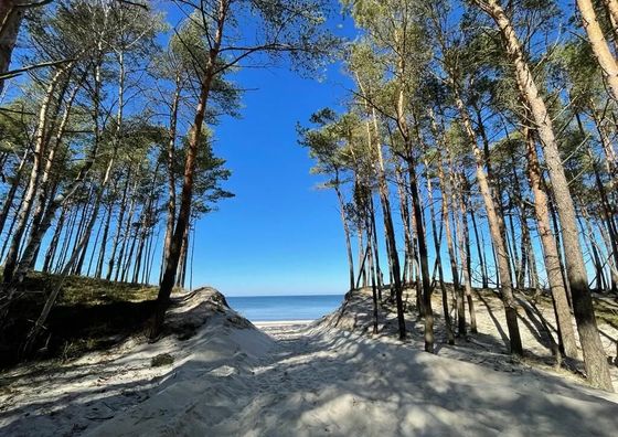 Seaside Harmony Pogorzelica