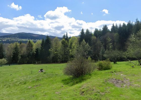 Dom gościnny Powidoki Zawoja