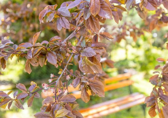 Czarna Góra Apartamenty