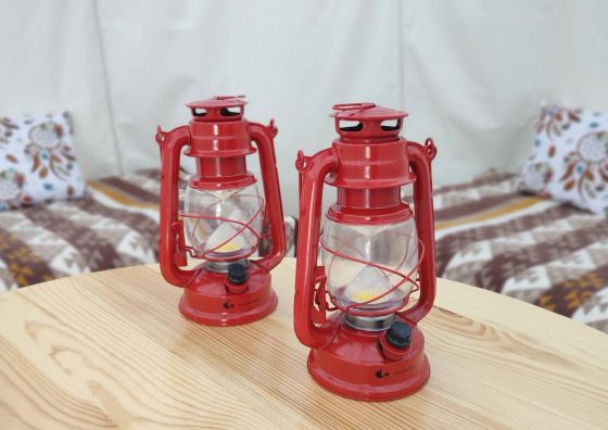 Wild Nature Bałtów 