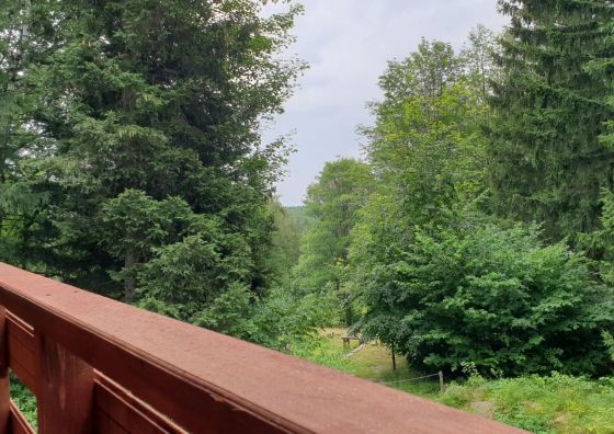 Omszałe Głazy Zachełmie