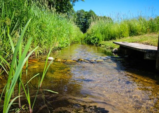 Agroturystyka Folwark Jeleń Knyszyn