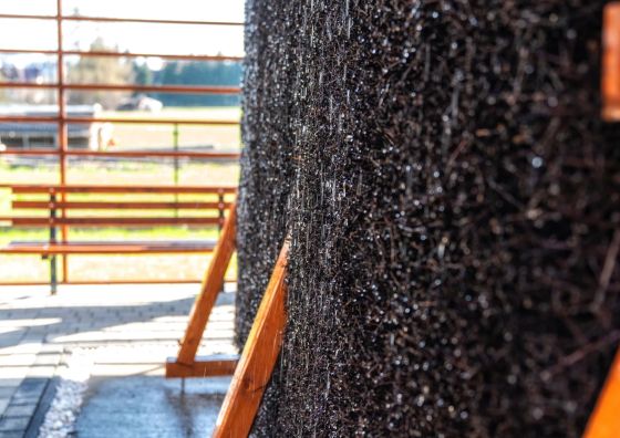 Ośrodek Wypoczynkowy Przy Termach Szaflarach