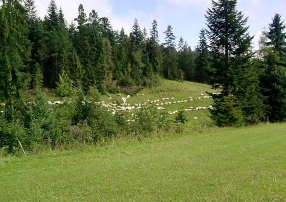 Domek pod Majową Górą Kacwin