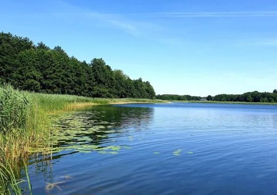 Szary Domek Osada Kujawska Piotrków Kujawski
