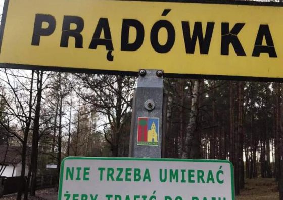 Agroturystyka PLENER Prądówka 