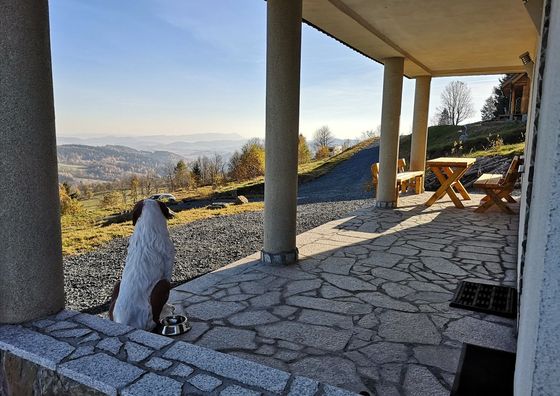 Dom Orle Gniazdo Rędziny