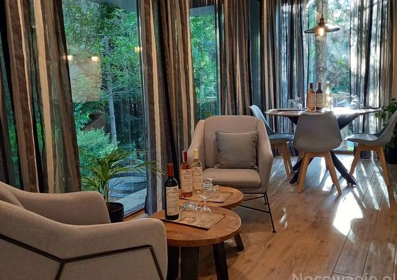 Willa na winnicy Krosno