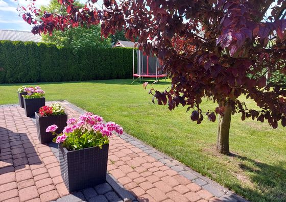 Morski Błękit Grzybowo