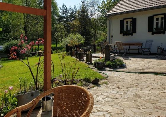 Agroturystyka Lusatia Farm Leśna Grabiszyce 