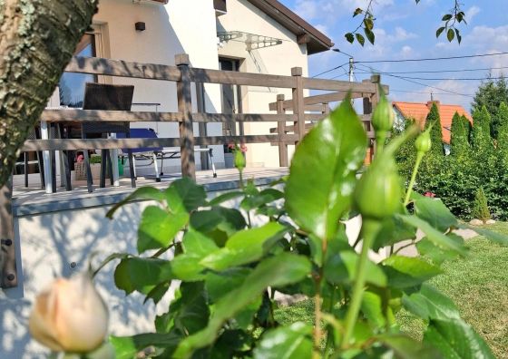 Apartament BAZA Radków