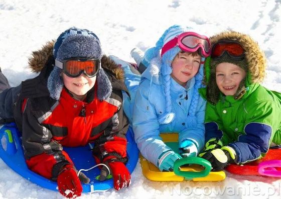 Villa Neve Ustrzyki Dolne