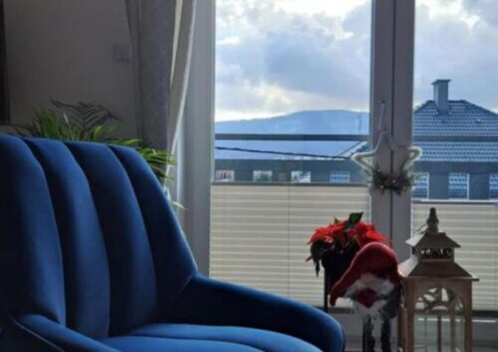 Apartamenty Bujaki Ustroń