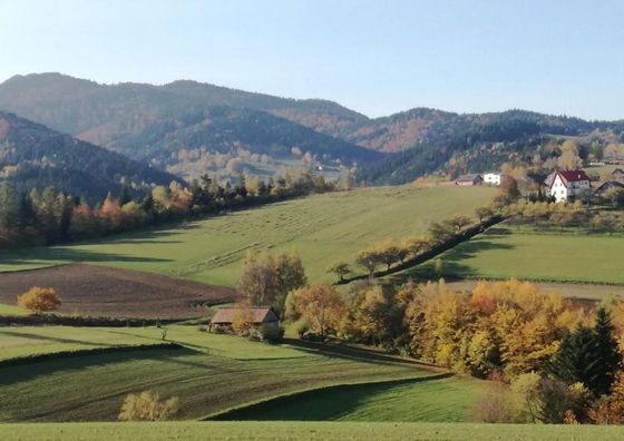 RYVILLA Dom na Wilkówce Dom całoroczny Gaboń