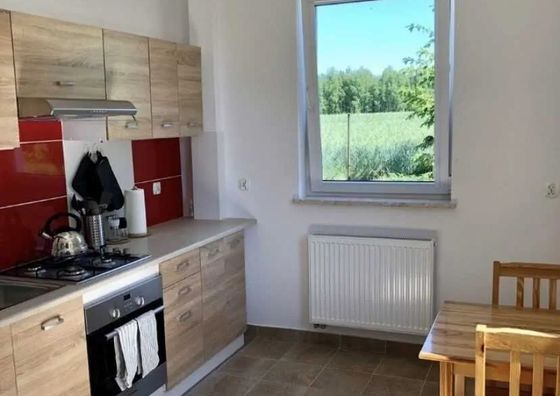 Wypoczynek w Borach Wełpin