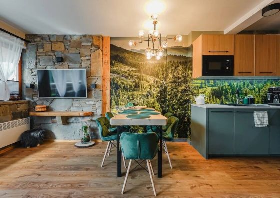 Apartament Skała Kościelisko 