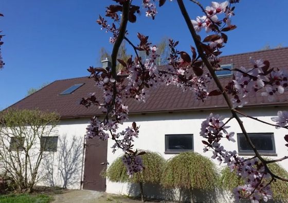 Apartament nad Gąską - Ranczo Tomaszówka