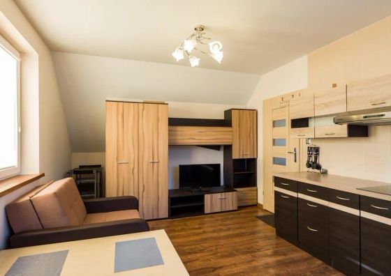 Apartament Kamyczek 