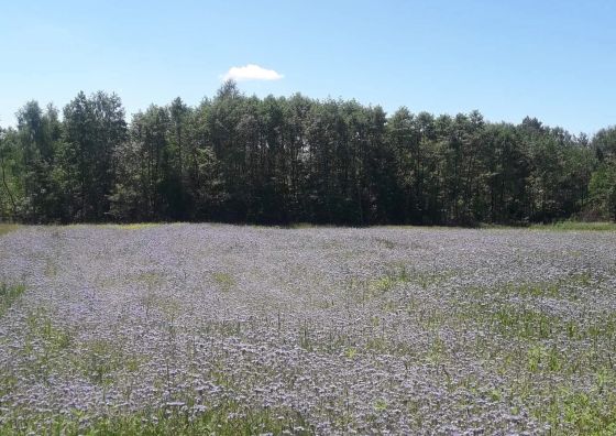 Agroturystyka Leśny Zakątek Dziewięcierz