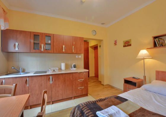 Apartament Tadeusz 310 Krynica-Zdrój