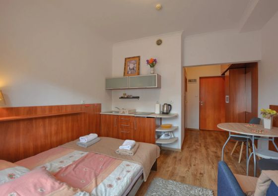 Apartament Tadeusz 203 Krynica-Zdrój