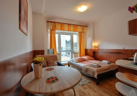 Apartament Tadeusz 203 Krynica-Zdrój