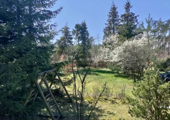 Widny Jaś Sulęczyno