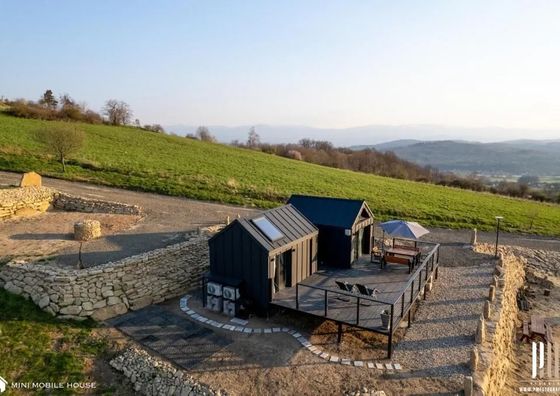 Moon Hill's Lord Jeżów Sudecki