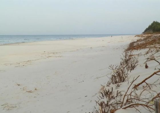 Domek Słoneczna Przystań Sasino