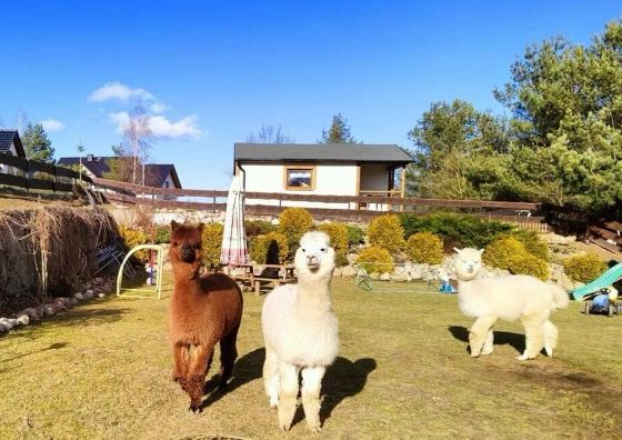 Domki na Słonecznikowej Chmielno