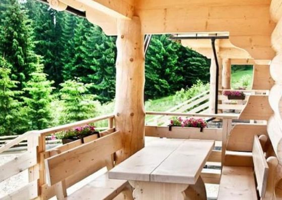 Domki pod lasem Nowe Bystre