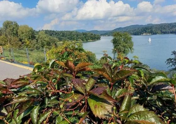 Domek Nad River San Olchowiec