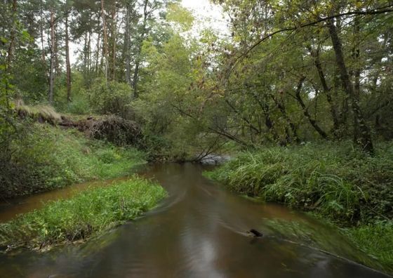 Dom Letniskowy - Patio - ognisko & koza Maciejowice