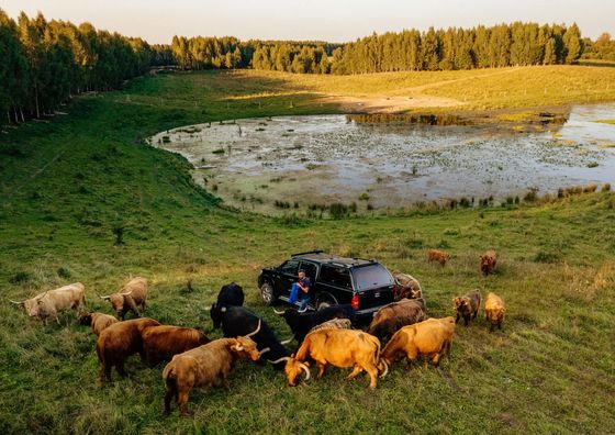 Highland Warmia Gospodarstwo Agroturystyczne Jeziorany