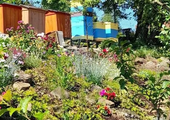 Domek u Babci Rajcza